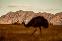1079737 167