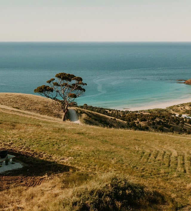 Coast is Calling