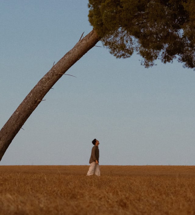 Things to do in Clare Valley