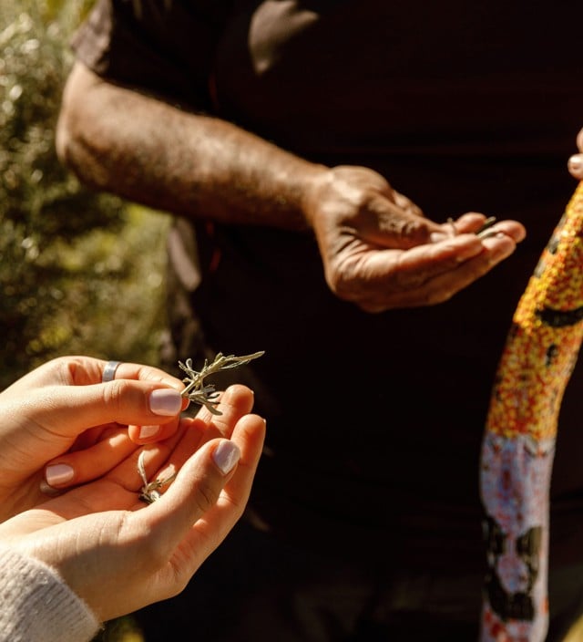 Acknowledgement of country