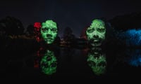Night Visions | Testimonials 2026