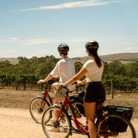 2 cyclists with helmets pausing in the middle of the Clare Valley vineyards.