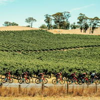 Close up of bike rider racing to the finish line as spectators scream with encouragement from the side lines 