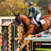 Horse and its smiling rider splash through water during a course at the Adelaide Equestrian Festival