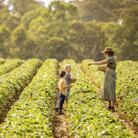 a woman and two young kids stand in a strawberry field