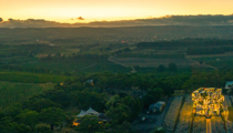 Wineries