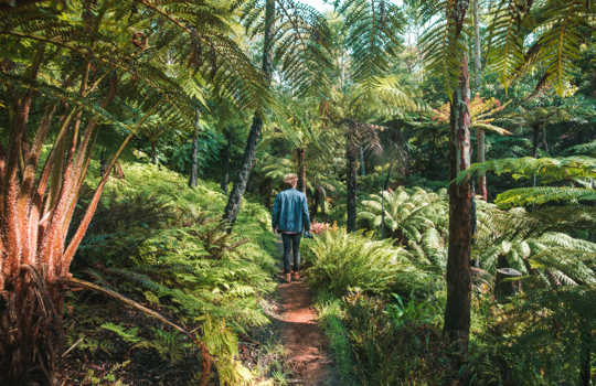 Fly to Adelaide with Jetstar